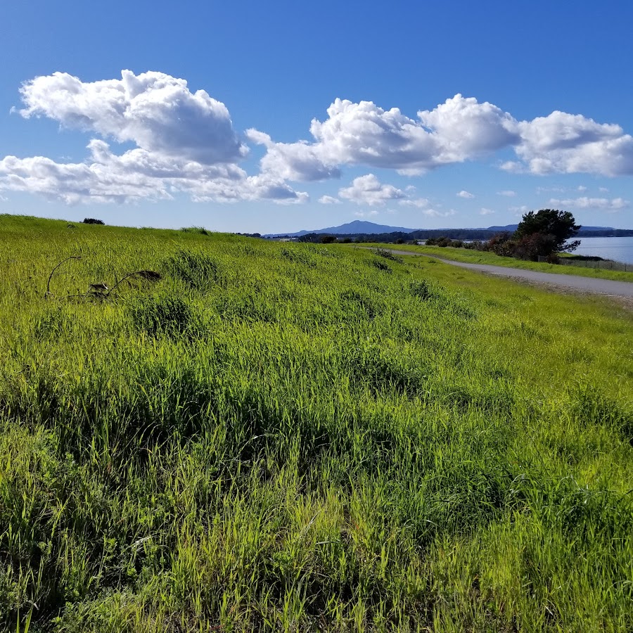 Pinole Shores Park