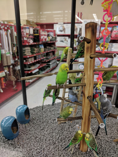 Pet Supply Store «Petco Animal Supplies», reviews and photos, 8700 Preston Rd #105, Plano, TX 75024, USA