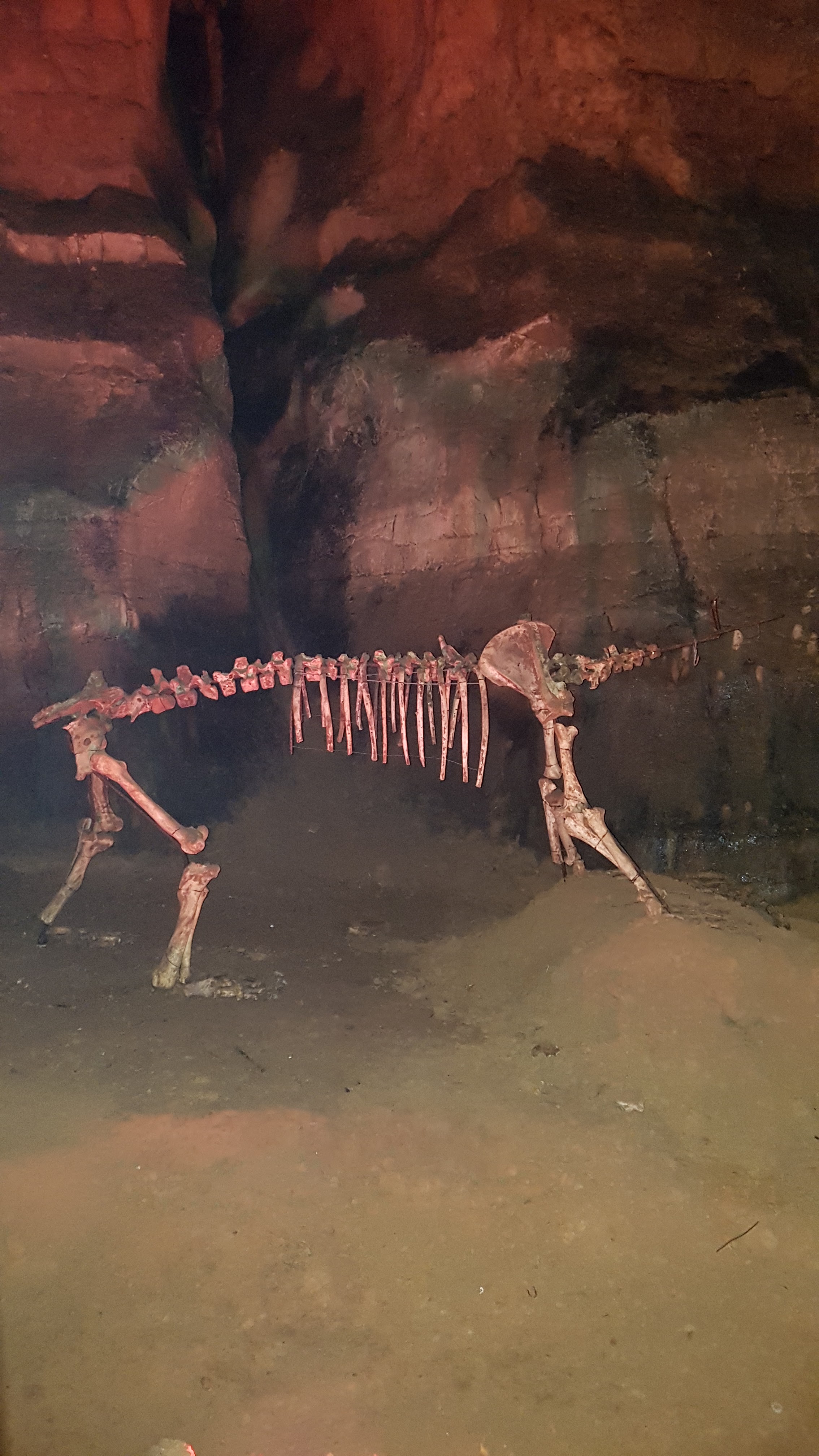 Photo n° 17 de l'avis de delphine.l fait le 25/08/2018 à 12:52