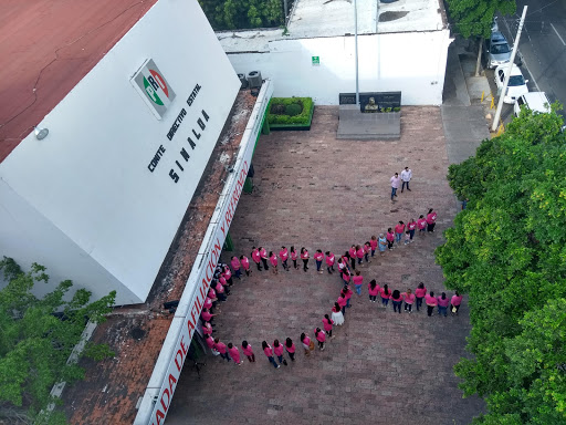 Partido político Culiacán Rosales