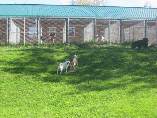 The Dog Ranch