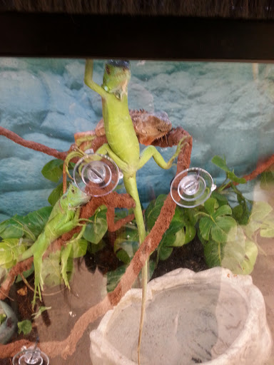 Pet Supply Store «Petco Animal Supplies», reviews and photos, 6067 Greenback Ln, Citrus Heights, CA 95621, USA