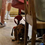 Photo n°3 de l'avis de Patrizia.i fait le 24/08/2023 à 21:44 sur le  Osteria la Mangiatoia à Civitanova Marche