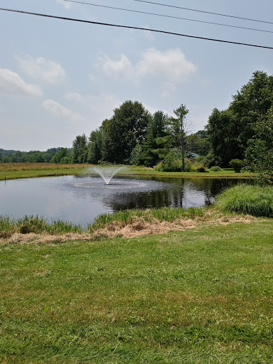 Winery «Baldwin Vineyards», reviews and photos, 176 Hardenburgh Rd, Pine Bush, NY 12566, USA