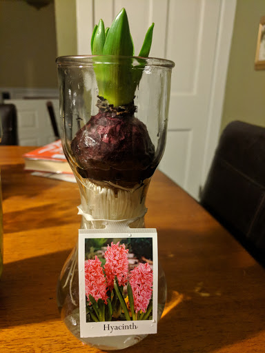 Grocery Store «The Fresh Market», reviews and photos, 285 Roosevelt Rd, Glen Ellyn, IL 60137, USA