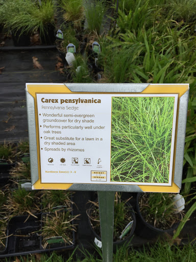 Golf Course «Mount Pleasant Golf Course», reviews and photos, 6001 Hillen Rd, Baltimore, MD 21239, USA