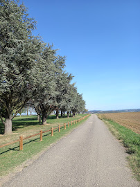 Paysage du Restaurant Golf de Lyon-Verger à Saint-Symphorien-d'Ozon - n°20