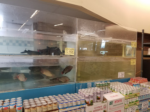 Asian Grocery Store «LF Market Oriental & Seafood», reviews and photos, 5350 W Bell Rd #115, Glendale, AZ 85308, USA