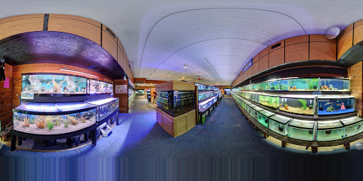 Aquarium Shop «Aquatics Unlimited / Aquatic Realmz», reviews and photos, 3550 S 108th St, Greenfield, WI 53228, USA