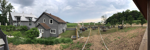 Winery «Dablon Vineyards & Winery», reviews and photos, 111 W Shawnee Rd, Baroda, MI 49101, USA