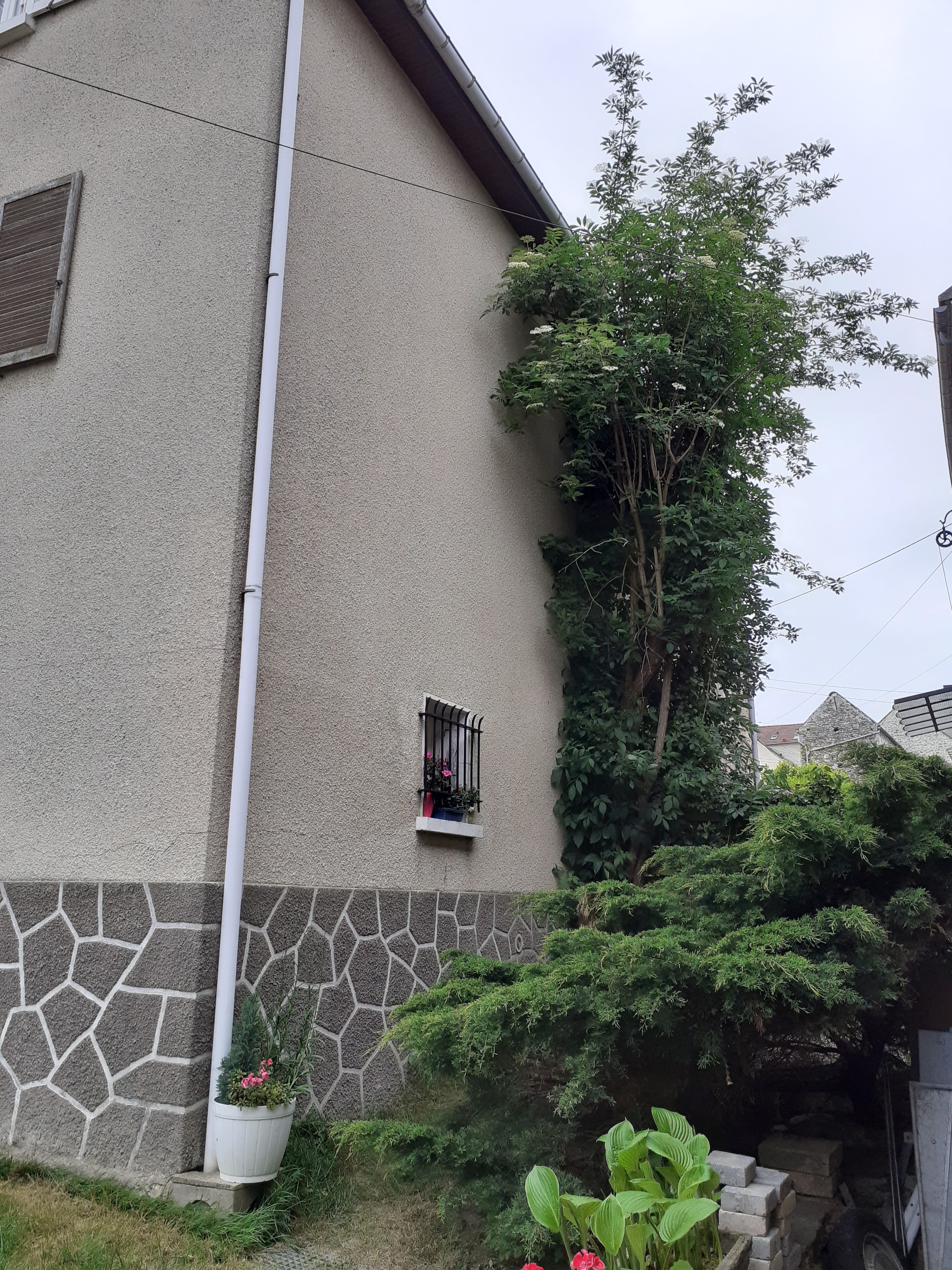 Photo n° 8 de l'avis de Corinne.O fait le 10/05/2023 à 16:28