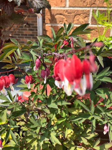 Hardware Store «Hardware Hank», reviews and photos, 1017 Central Ave NW, East Grand Forks, MN 56721, USA