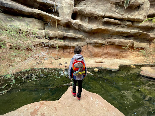 Zoo «Desert Dome & Kingdoms of the Night», reviews and photos, 3701 S 10th St, Omaha, NE 68108, USA