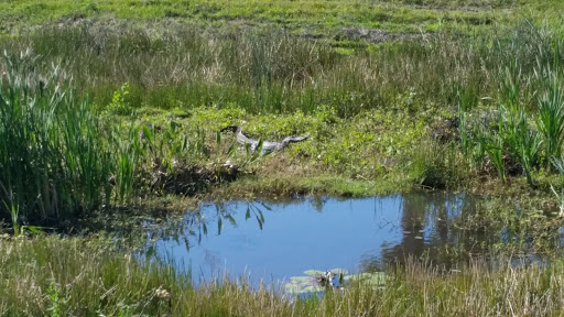 Golf Club «The Champion Turf Club at St. James», reviews and photos, 7900 Selvitz Rd, Port St Lucie, FL 34983, USA