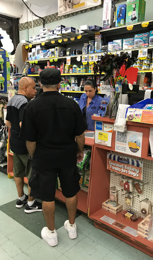 Pet Store «Petland Discounts - Parkchester», reviews and photos, 1949 Westchester Ave, Bronx, NY 10462, USA