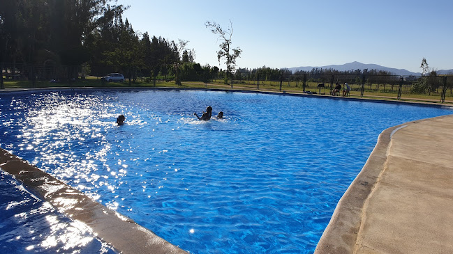 Opiniones de Camping Millantu en Isla de Maipo - Camping