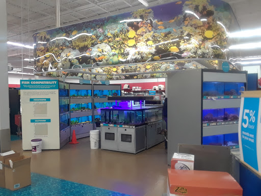 Pet Supply Store «Petco Animal Supplies», reviews and photos, 205 Ken Pratt Blvd #280, Longmont, CO 80501, USA