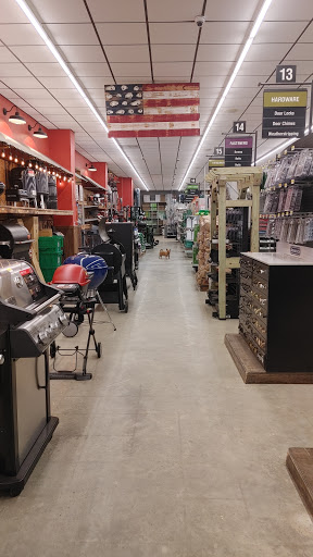 Ace Hardware