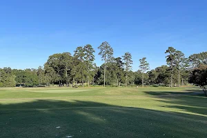 Fort Mill Golf Club image