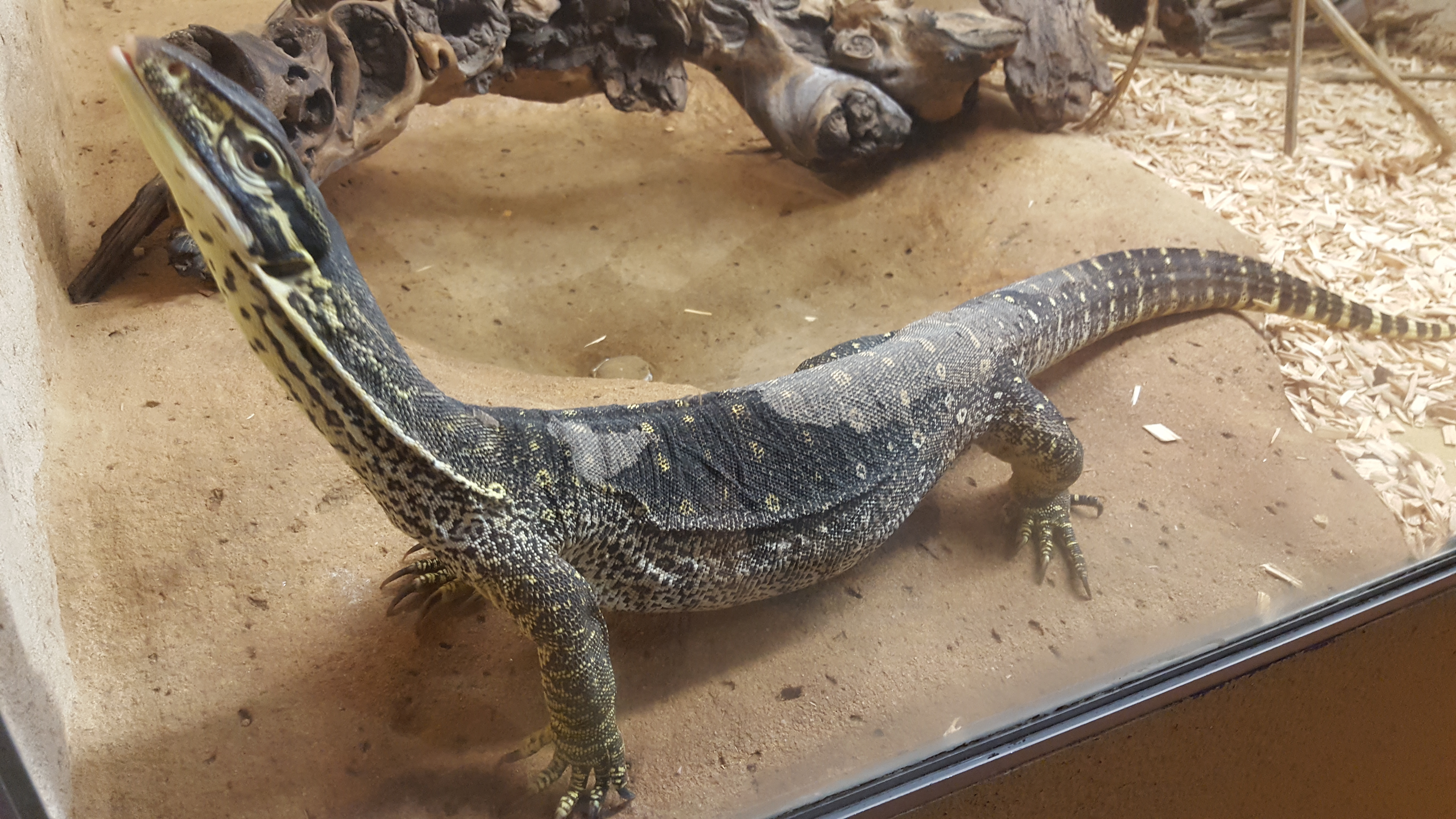 Photo n° 10 de l'avis de Thierry. fait le 23/07/2019 à 16:52