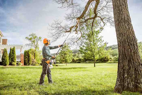  alt='Outstanding tree service experience! Dealt with a challenging tree removal situation close to our home'