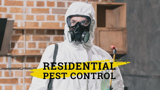 Hero Pest Control Melbourne