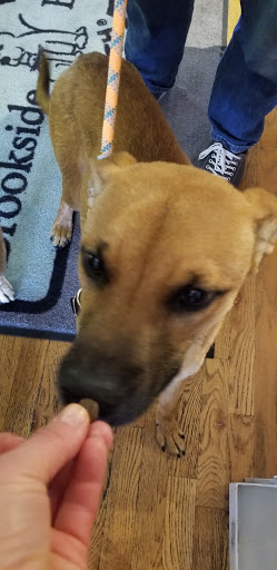 Pet Supply Store «Brookside Barkery & Bath», reviews and photos, 118 W 63rd St, Kansas City, MO 64113, USA