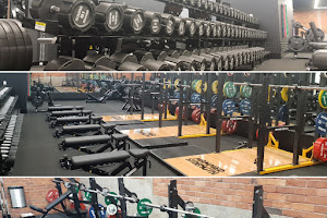 Flex Fitness Takapuna 24 Hour Gym