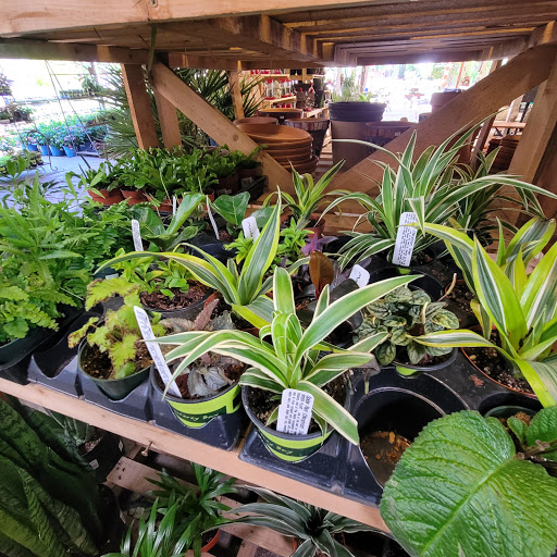 Gazebo Gardens Inc image