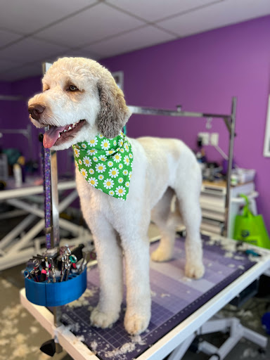 The Shih Shed Richmond