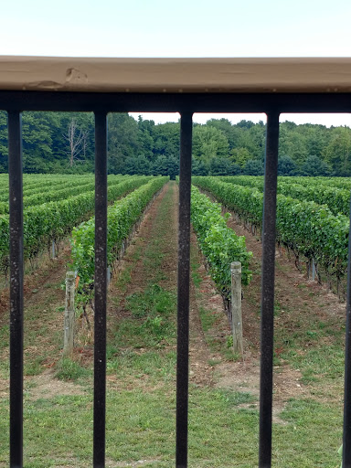 Winery «M Cellars», reviews and photos, 6193 S River Rd W, Geneva, OH 44041, USA