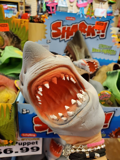 Outdoor Sports Store «Bear Mountain Outfitters Manly Toys And Hobbies», reviews and photos, 35 Hypolita St #105, St Augustine, FL 32084, USA