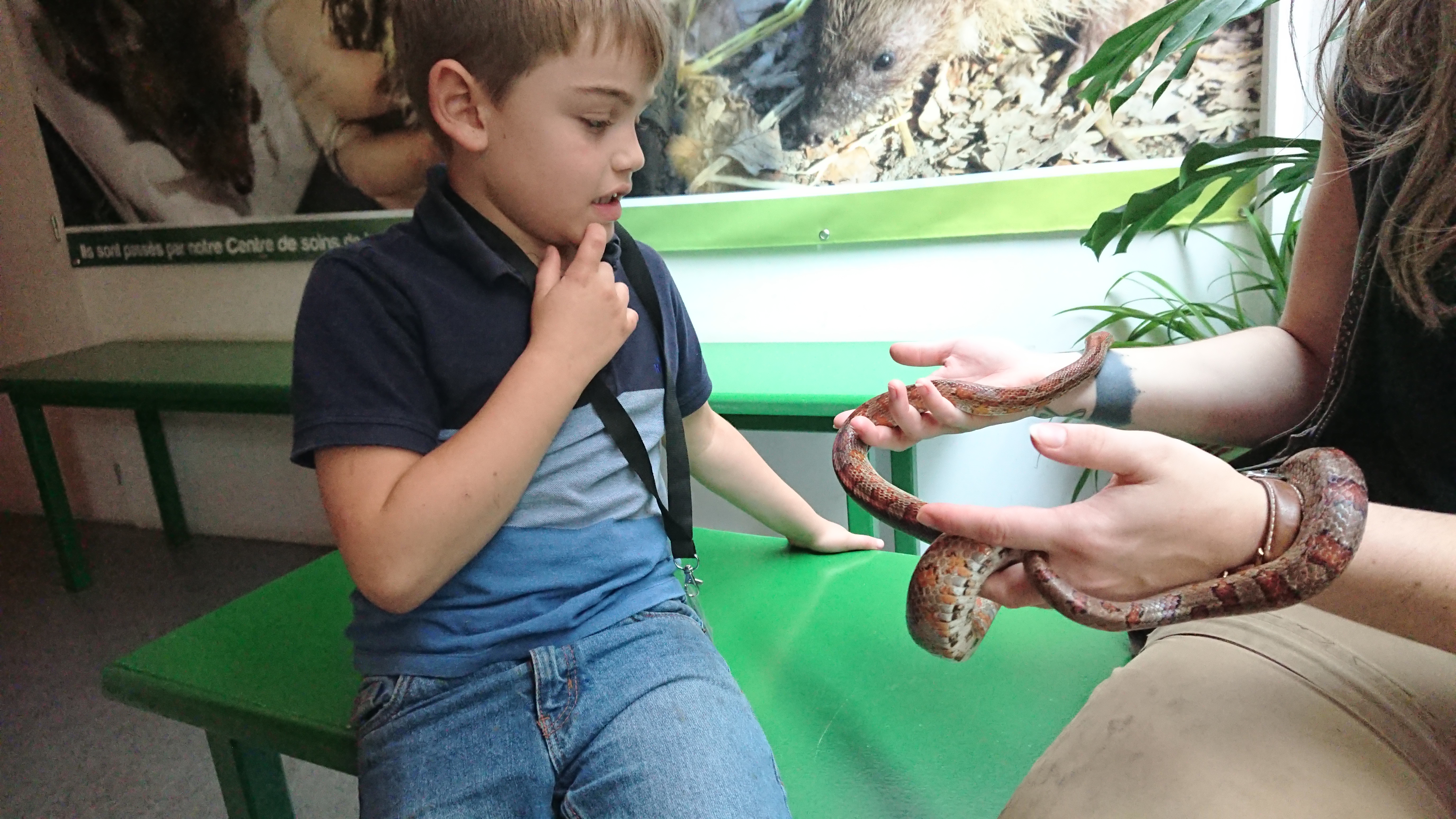 Photo n° 6 de l'avis de ludivine.a fait le 21/08/2021 à 14:21