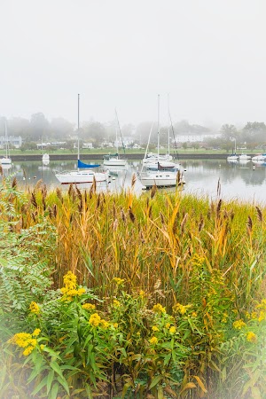 Harbor Island Park - photo 69