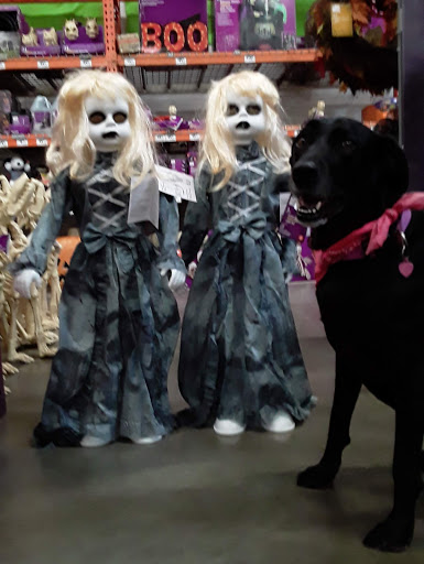 Home Improvement Store «The Home Depot», reviews and photos, 1490 Capital Cir NW, Tallahassee, FL 32303, USA