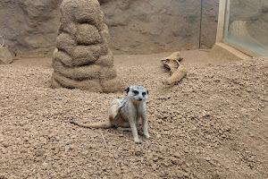 Indianapolis Zoo