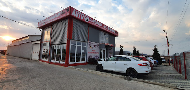 Auto N Dimbovita