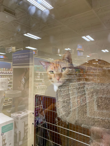 Pet Supply Store «PetSmart», reviews and photos, 745 W Huntington Dr, Monrovia, CA 91016, USA