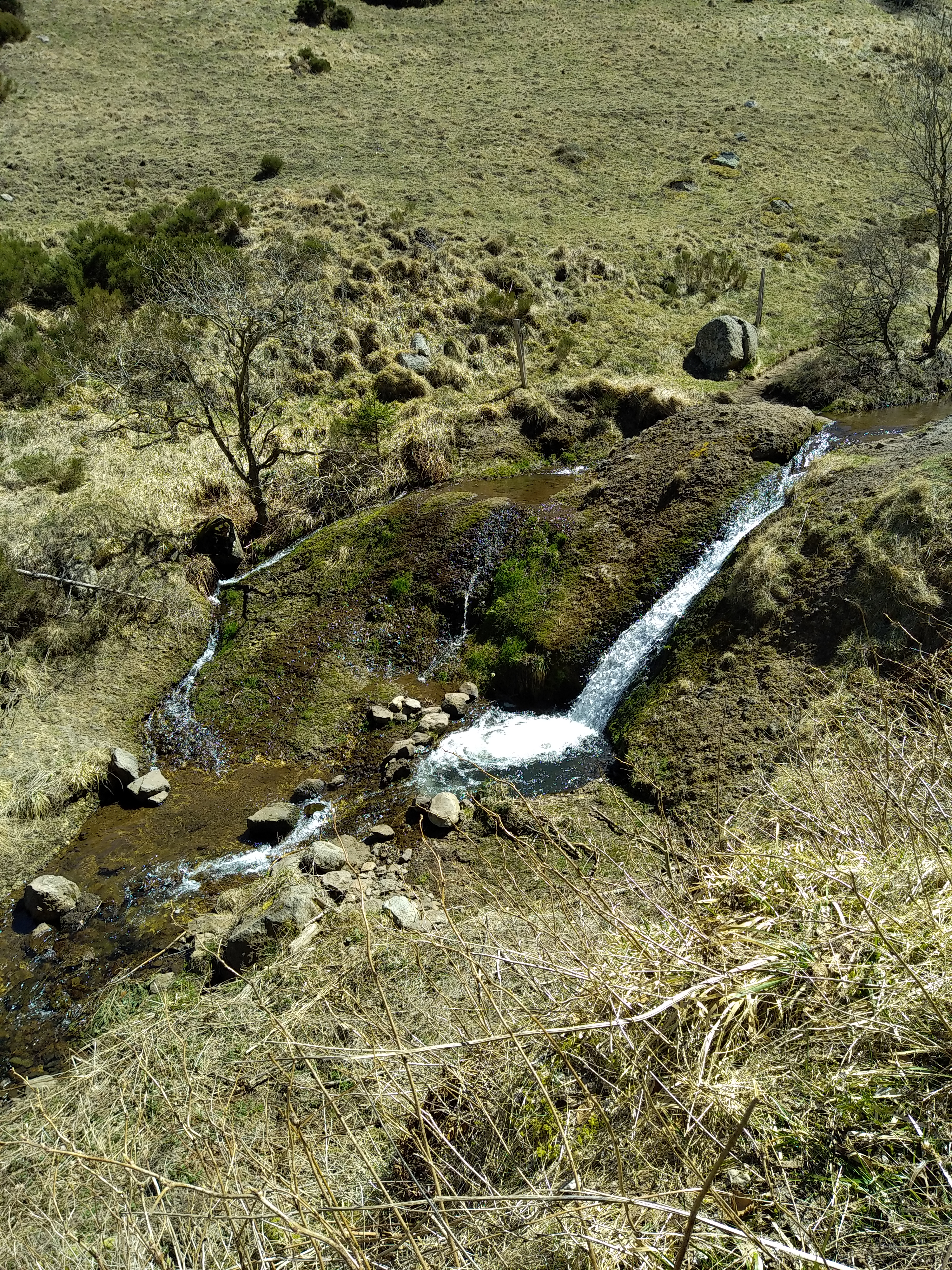 Photo n° 8 de l'avis de Julien.a fait le 17/04/2022 à 17:15