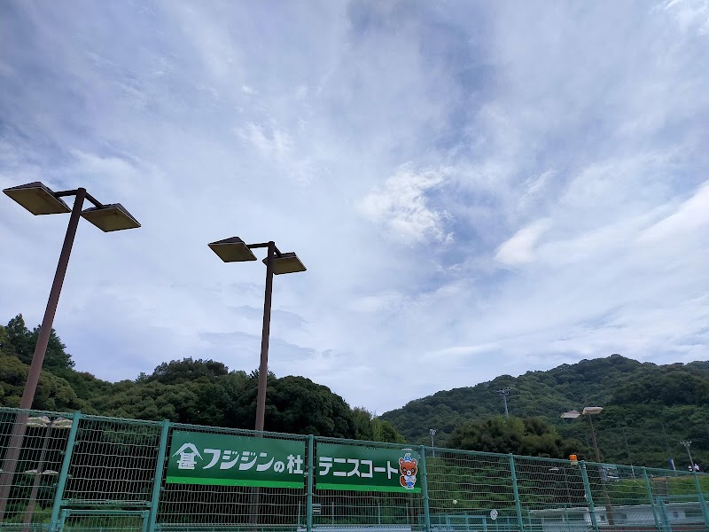 臼杵市総合公園 テニスコート