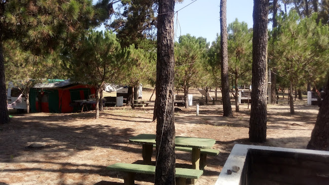 Opiniones de Camping Municipal Agraciada en Carmelo - Camping