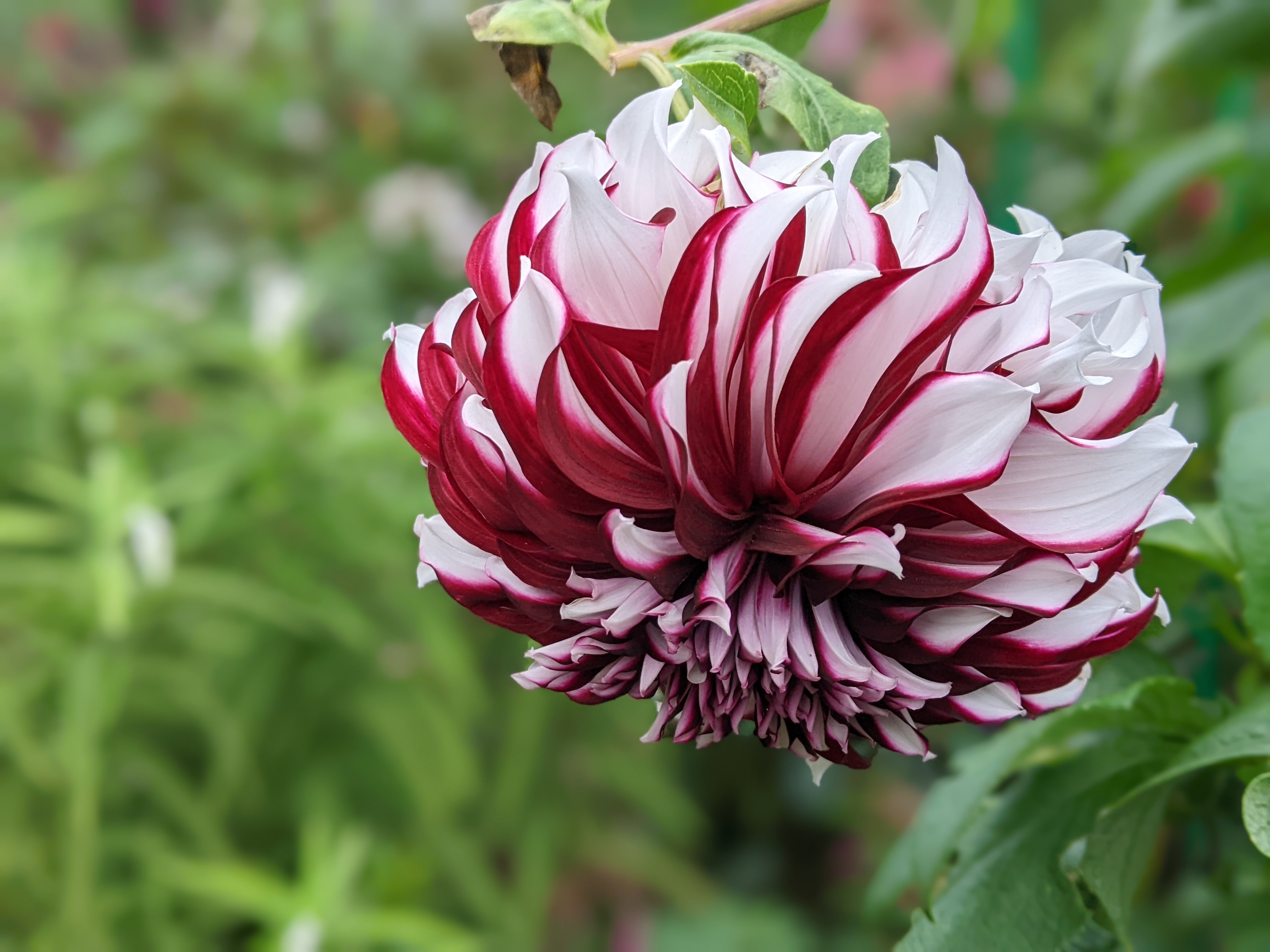 Photo n° 12 de l'avis de konrad.a fait le 08/11/2022 à 15:06