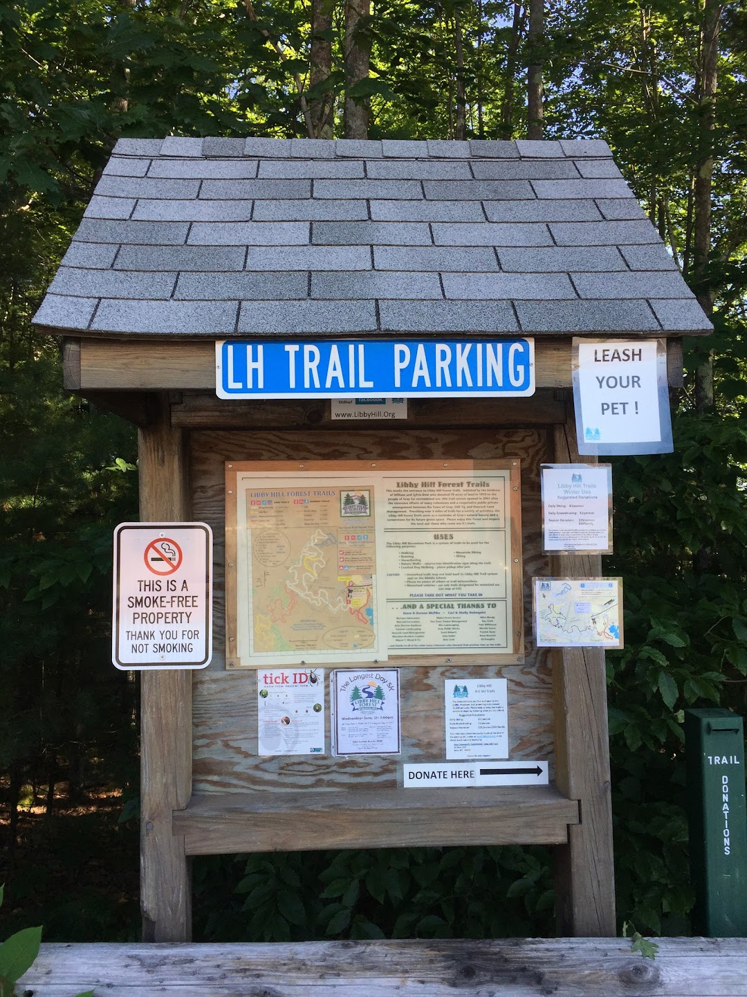 Libby Hill Forest Trails