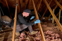 Busy Bee Pest Solutions - Photo 7 - Car repair in Peoria, AZ, Phoenix