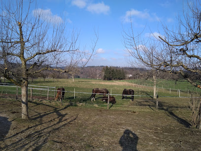 Pferde Oase Liebewil