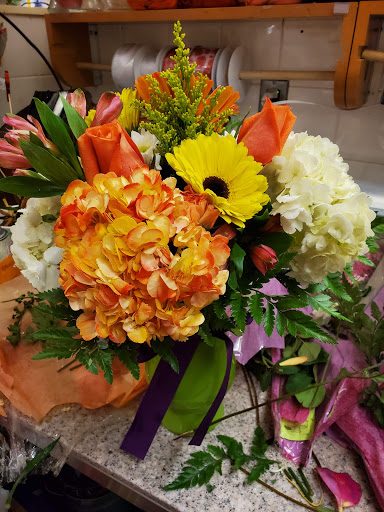 Grocery Store «Super Stop & Shop», reviews and photos, 3208 Bridge Ave, Point Pleasant, NJ 08742, USA