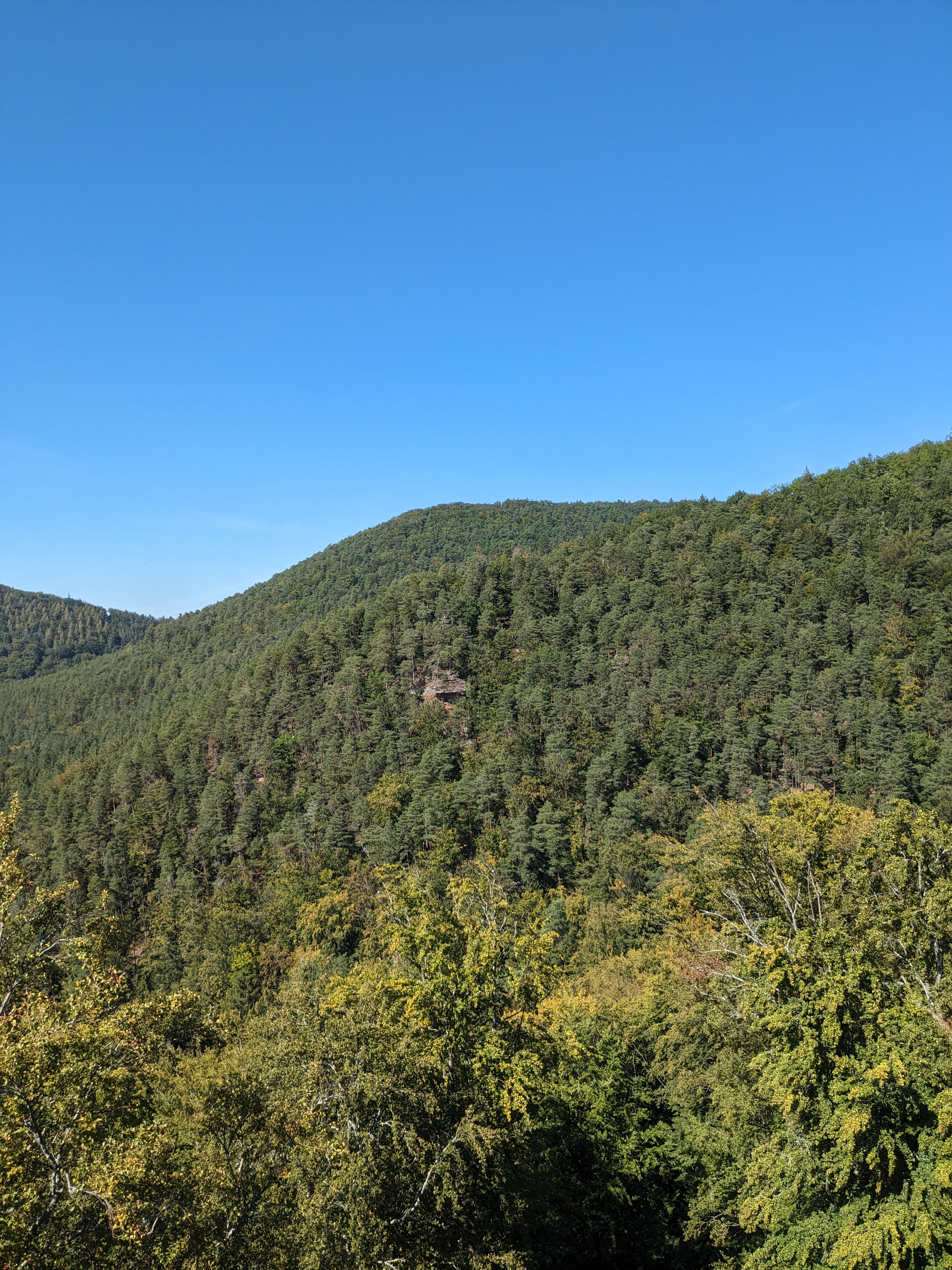 Photo n° 2 de l'avis de nicole.c fait le 08/09/2023 à 18:11