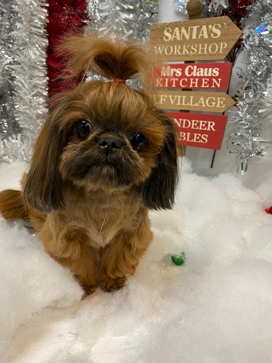 Pet Store «Healthy Pets Mountain West», reviews and photos, 2352 Fort Union Blvd, Cottonwood Heights, UT 84121, USA