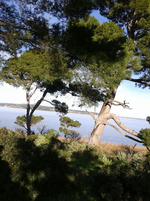 Photo n° 1 de l'avis de Jp.e fait le 15/01/2019 à 07:19