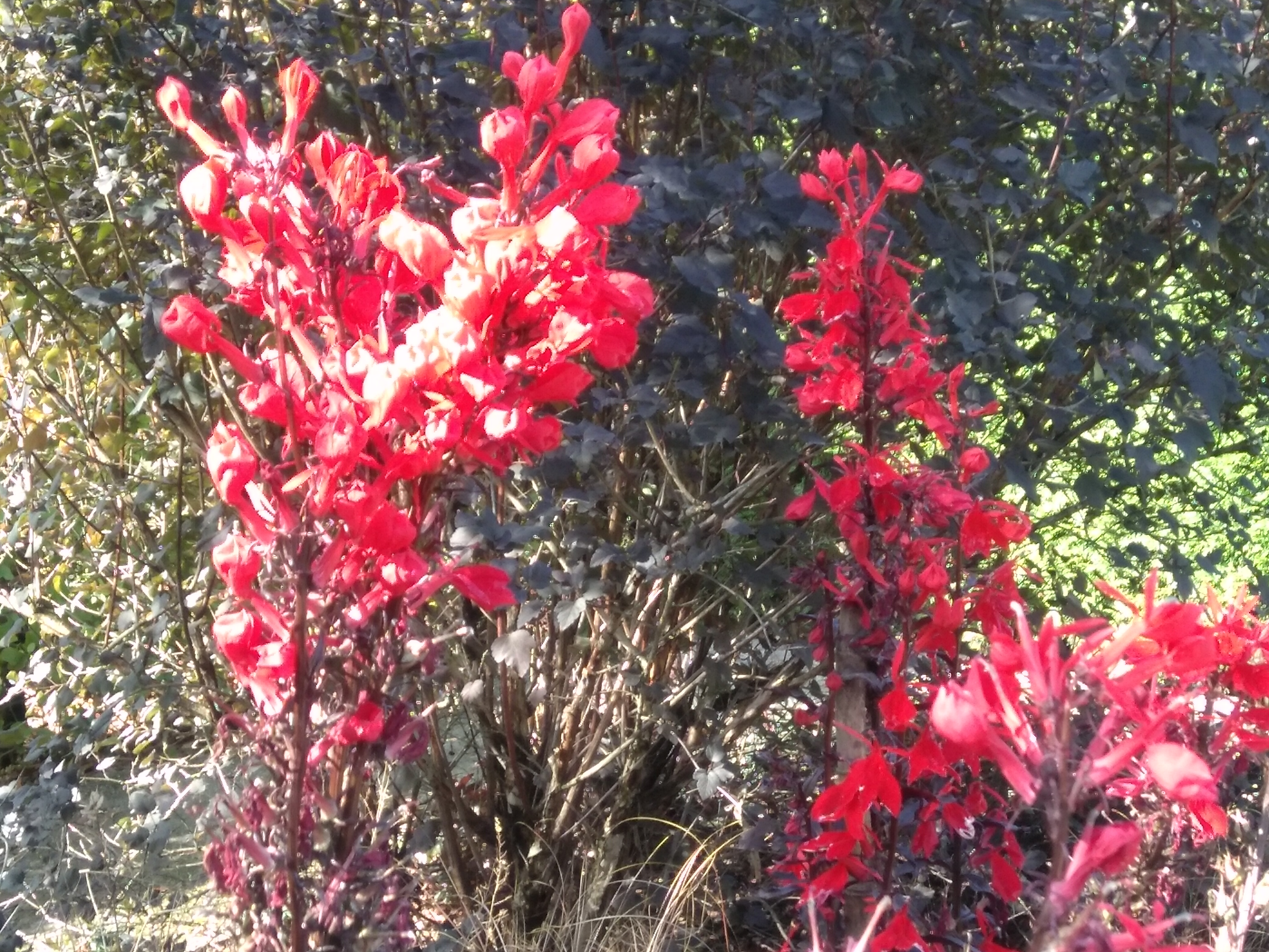 Photo n° 7 de l'avis de Emmanuel.o fait le 14/09/2019 à 14:20